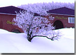 冬の富良野の風景画像
