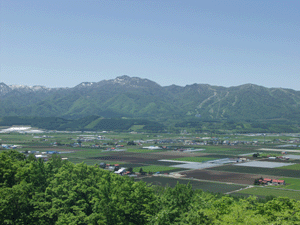 夏の富良野光景の写真