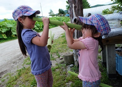 受賞写真8「私達フキの中を探検中！！」