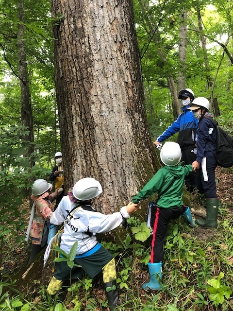 森林学習サポーターの写真