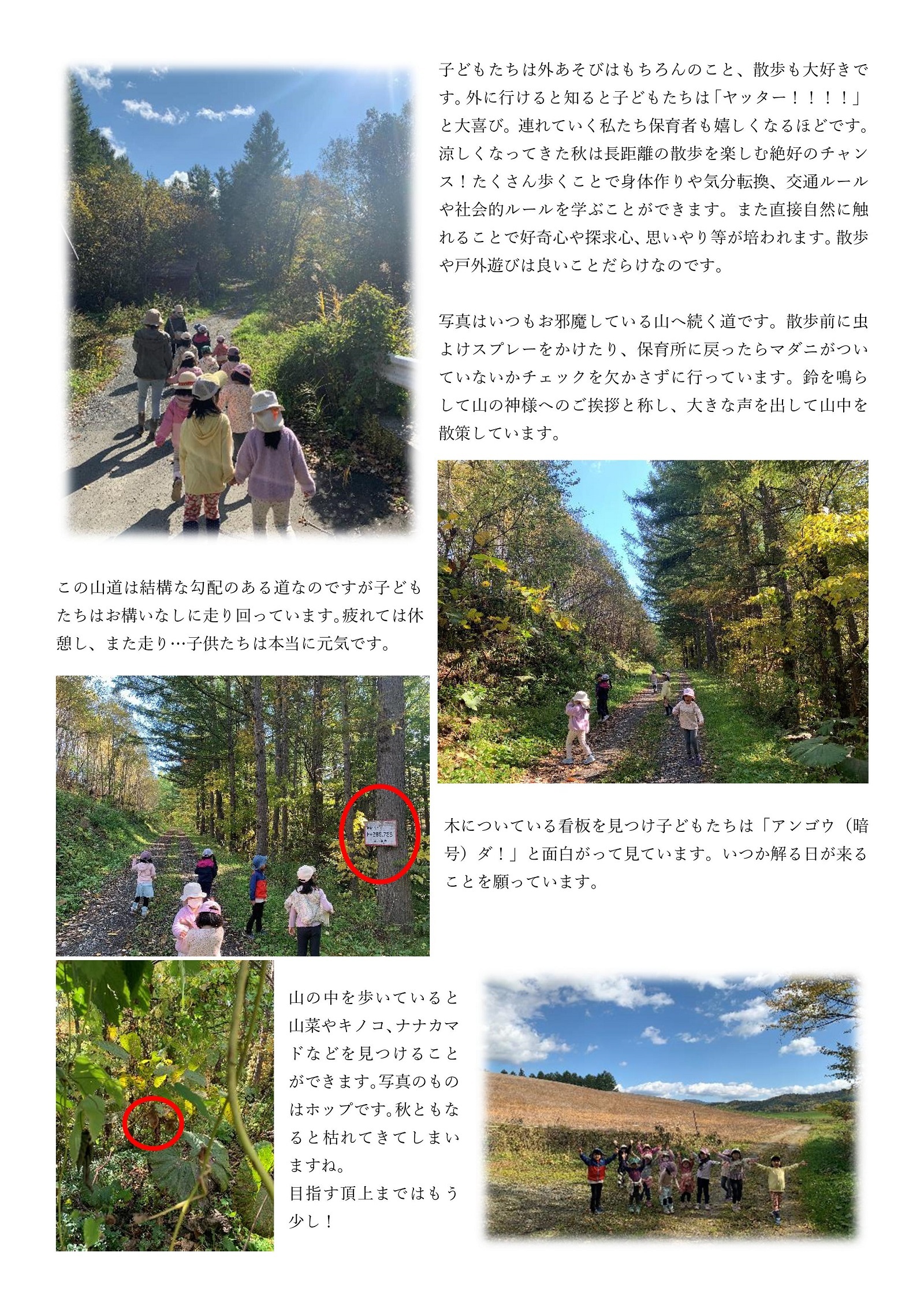 東山保育所通信 山に生きる2ページ目の画像