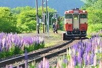 グランプリ受賞作品の画像