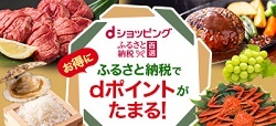 ふるさと納税百選.jpg