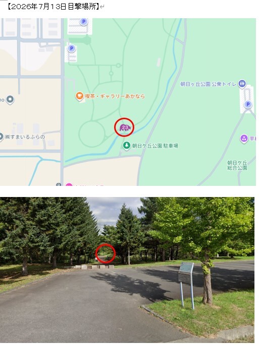 熊出没場所