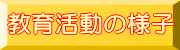 犈̗lq