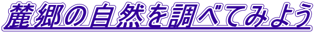 次のページへ！ここをクリックしてね！